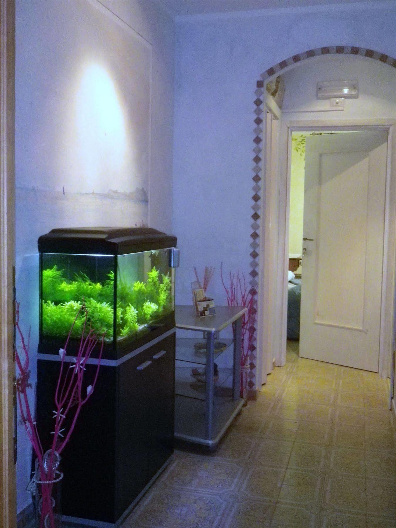 Elisart Guest House Alghero Esterno foto
